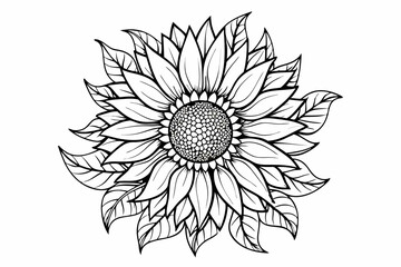 coloring page line art the sunflower black vector