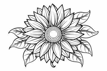 coloring page line art the sunflower black vector