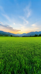 Fototapeta premium Serene sunset over a vast, vibrant green field and distant mountains