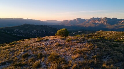 Fototapeta premium Stunning sunset view from a hilltop showcasing lone tree and rugged mountain landscape : Generative AI