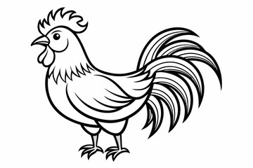 coloring page line art the rooster black vector