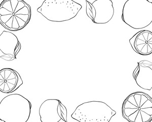 Lemons whole and slice rectangle frame. Black and white citrus fruits template. Vector graphic line ink illustration with empty space for text. Design for menu, package, cosmetic, textile.