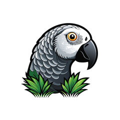 Fototapeta premium Close-up photograph of a detailed African Grey Parrot perched, showcasing its feathers, beak, and eye. High-resolution image.