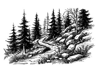 forest trail with rocks and pine trees black vector sketch © Mago