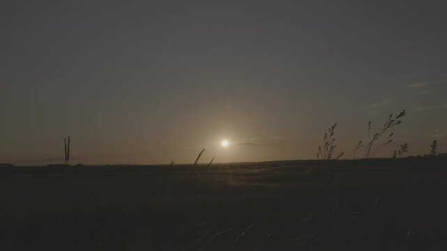 shot in v-log on the s1h 