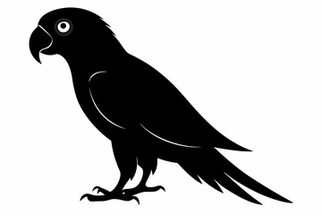 Obraz premium Parrot bird silhouette black vector