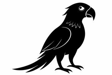 Parrot bird silhouette black vector