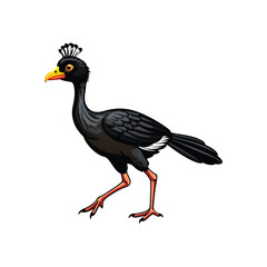 Create an elegant, detailed illustration of an Alagoas Curassow gracefully walking in its natural habitat.  Show vibrant plumage and a lush background.
