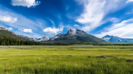 A breathtaking panoramic view of majestic mountains under a blue sky with fluffy clouds and open grassy fields : Generative AI