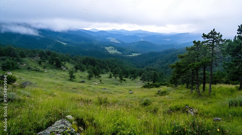 Poster scenic view of a lush green landscape with rolling hills and pine trees under cloudy skies in the wi