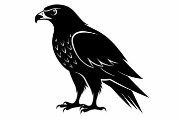 Fototapeta premium hawk silhouette black silhouette vector
