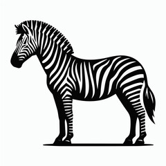 Obraz premium zebra, black and white stripes, side profile, standing pose, detailed illustration, high contrast, minimalist background, wildlife art, graphic design style, sharp edges, silhouette, vector.