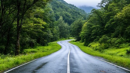 Winding Road Through Lush Green Forest Under Gray Sky in Serene Landscape : Generative AI