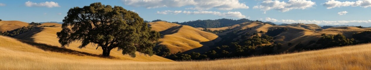 Fototapeta premium Golden hills under a clear sky