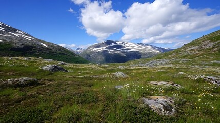 Breathtaking Mountain Valley Covered with Green Grass and Bright Floral Blooms Under a Stunning Cloudy Sky : Generative AI