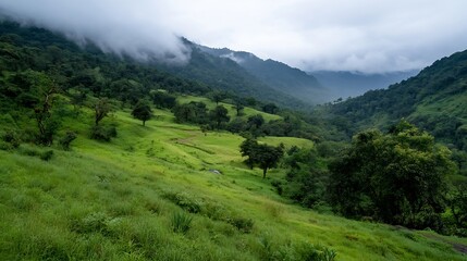 Fototapeta premium A lush green landscape with rolling hills and clouds hovering in a beautiful mountain region : Generative AI
