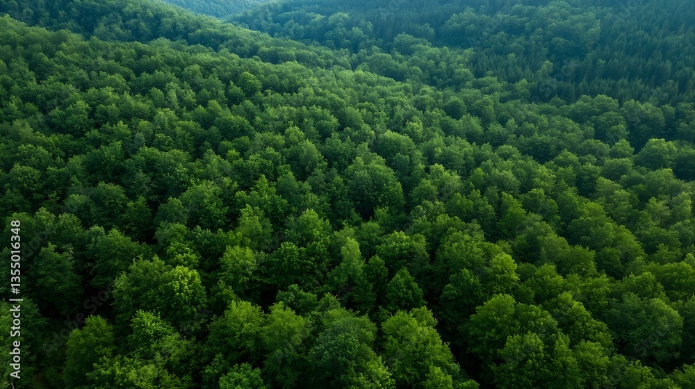 Poster lush green canopy of dense forest showcasing a thriving ecosystem from above : generative ai