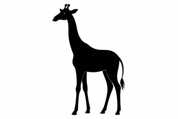 giraffe silhouette black silhouette vector