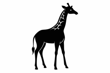 giraffe silhouette black silhouette vector