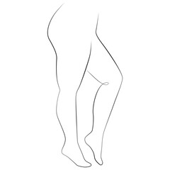 Curvy woman legs, line art on white isolated background. Plus size model, body positive concept