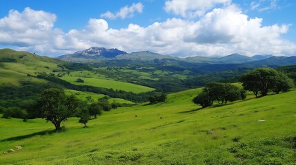 Fototapeta premium Beautiful landscape view of green rolling hills under a blue sky with fluffy clouds : Generative AI