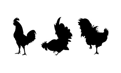 Set of Three Cock Silhouettes with different poses.