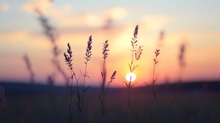 Fototapeta premium Silhouetted Grass Against a Beautiful Sunset Sky Creating an Inspiring Peaceful Atmosphere : Generative AI