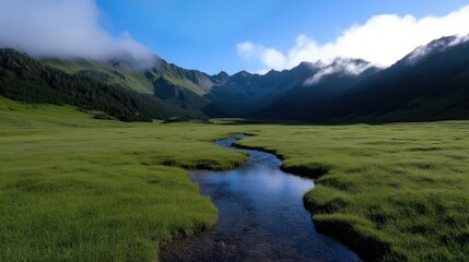 Fototapeta na wymiar Tranquil mountain valley with a flowing stream. Lush green meadow nestled amidst majestic peaks. Misty morning light illuminates the landscape