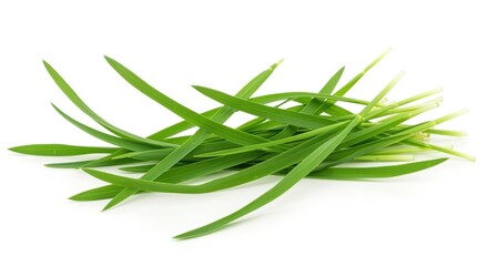 Fototapeta premium Fresh green chives with long, slender leaves, showcasing vibrant colors and a crisp texture. Ideal for culinary uses, chives enhance flavors in salads, soups, and garnishes. A versatile herb.