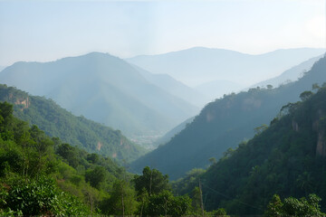 Naklejka premium Tropical Mountains and Mist