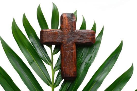 Old wooden cross on green palm leaf isolated on transparent background as a symbol of Palm Sunday in Christianity