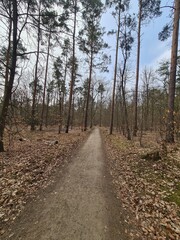 Nature Path at the Wannsee Area in Berlin Steglitz - Zehlendorf