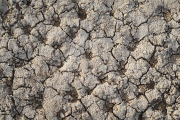 Parched riverbed with deep cracks, highlighting vulnerability to drought, wind erosion, and flooding; ideal for environmental awareness and climate change themes.