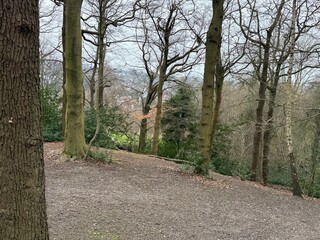 path in the woods