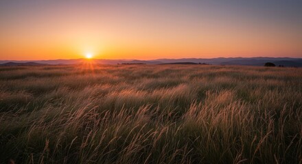 Serene Sunset over Rolling Hills and Golden Grassland Meadow