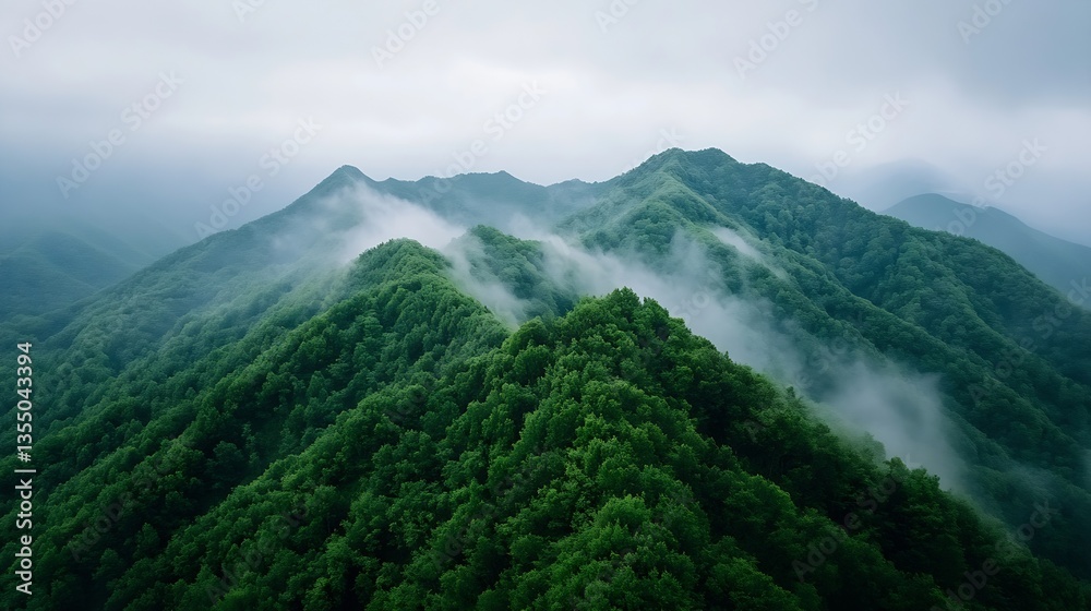 Poster aerial view of misty green mountains covered with lush vegetation and fog : generative ai