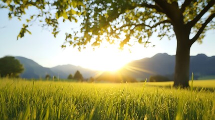 Sunrise over a grassy field with a tree creating a tranquil natural landscape in the countryside : Generative AI