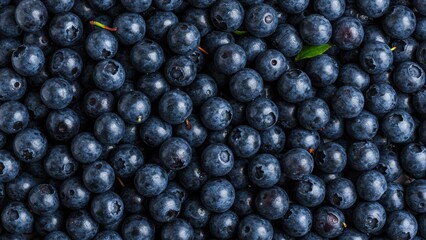 Pile of Blueberries. Fresh, ripe fruit close-up. Healthy antioxidant and delicious superfood. Nutrition, summer harvest, raw ingredient for diet.