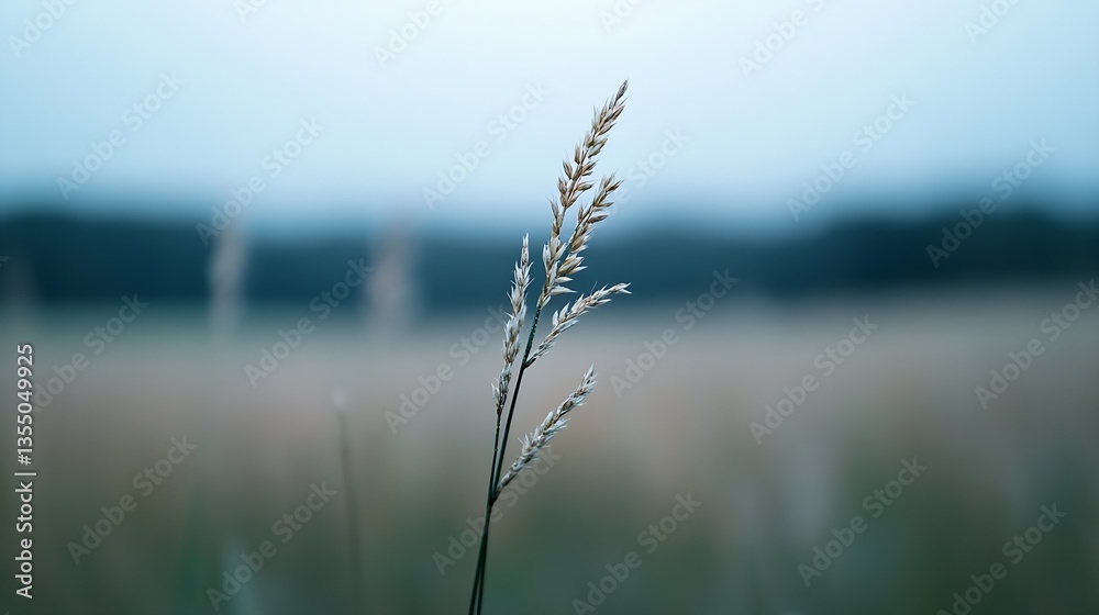 Poster closeup of graceful grass stem swaying in soft focus gentle light : generative ai