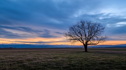 Obraz premium A lone tree standing against a dramatic sunset sky over a vast field capturing the essence of solitude : Generative AI