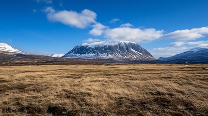 Stunning winter landscape with snow capped mountains and grassy foreground under a clear blue sky : Generative AI