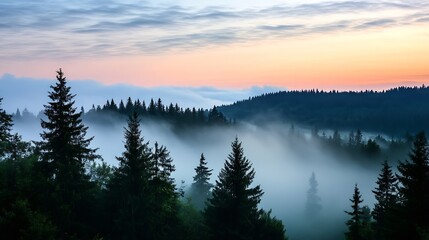 Obraz premium Misty forest landscape at sunrise with fog and towering trees creating a serene atmosphere : Generative AI