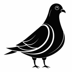dove of peace