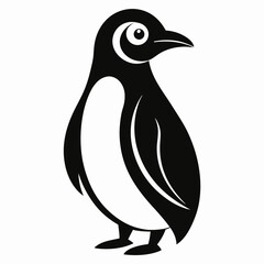 penguin on a white background