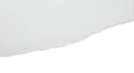 Realistic torn paper edge. Ripped white paper mockup isolated on transparent background. Piece of rip paper PNG. mockup template
