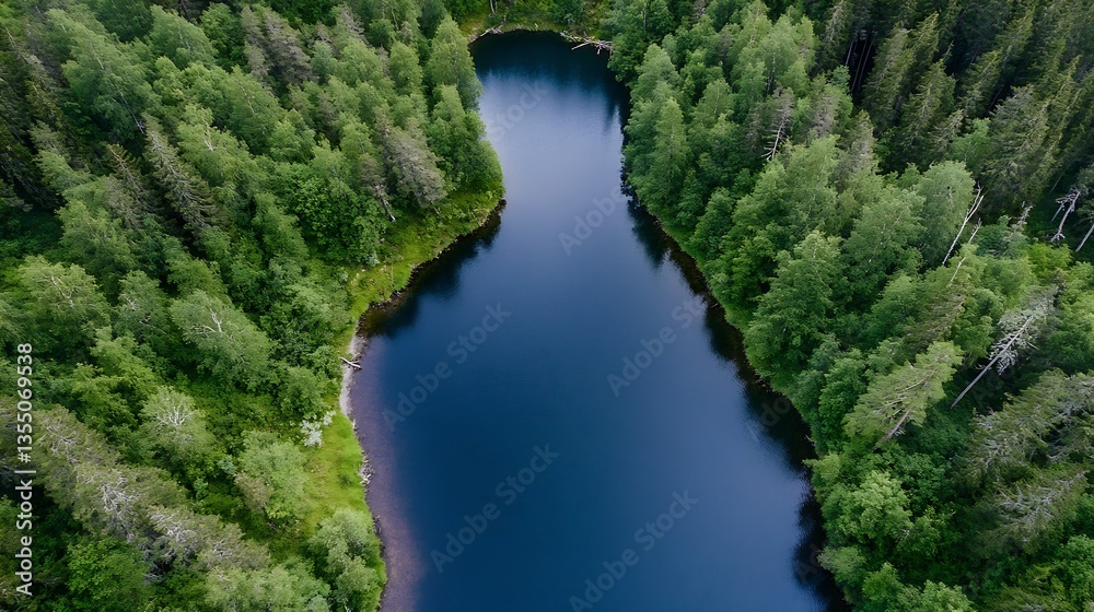 Poster aerial view of serene forest lake surrounded by lush green trees and scenic wilderness : generative 