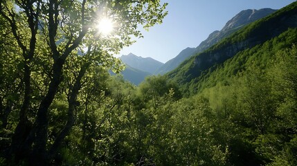 Breathtaking Mountain Landscape with Sunlight Streaming Through Lush Green Forest : Generative AI