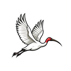 Create a realistic vector illustration of a crested ibis in flight, showcasing its plumage and elegant form against a clear sky.