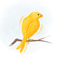 canary bird Illustration PNG clipart 