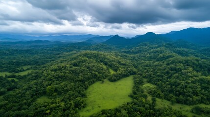 Obraz premium Aerial view of vast green hills and lush forests under cloudy sky in tranquil wilderness : Generative AI